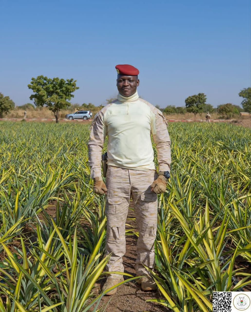 PRODUITS TROPICAUX: Le Burkina se lance dans la production de l'ananas