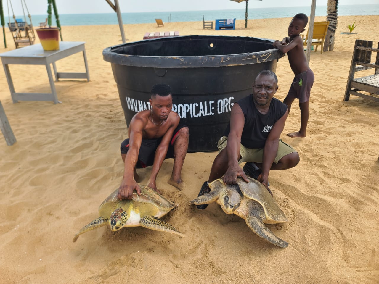 BIODIVERSITÉ AU BÉNIN: Nature Tropicale honore les tortues marines